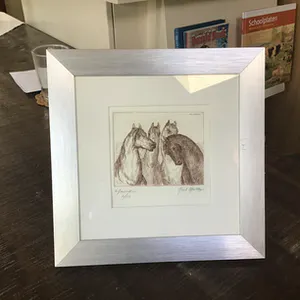 Noël Matthijs - 4 paarden kopen? Bied vanaf 1!