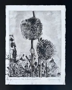 AcheterJan Bernard Meinen - Uienbloemen? Enchérissez de 25!