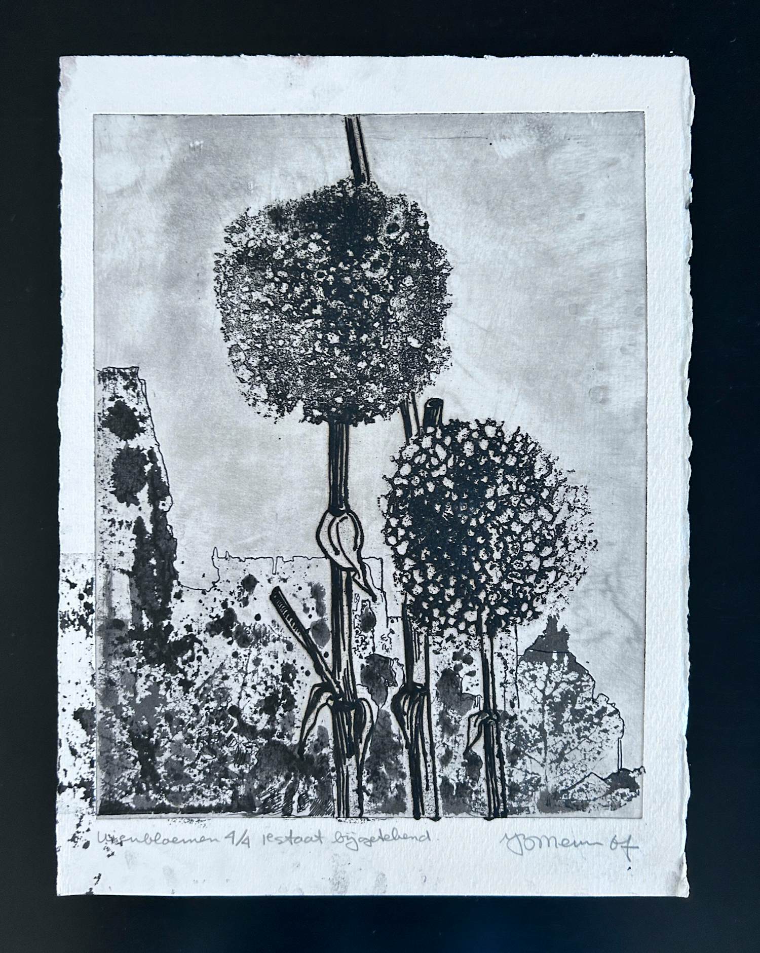 Jan Bernard Meinen - Uienbloemen kopen? Bied vanaf 25!