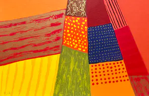 Ronald Boonacker - Tulpenvelden Holland kopen? Bied vanaf 55!