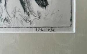 Jan Hollenberg - Koeien studie kopen? Bied vanaf 35!