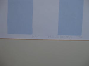 Jan de Koning - Zebra (zeefdruk) kopen? Bied vanaf 65!