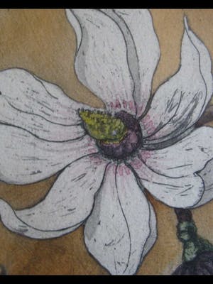 Niet of onleesbaar gesigneerd - Magnolia's kopen? Bied vanaf 10!