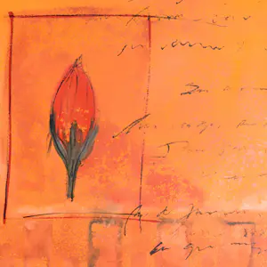 Felipe Campello - Bloem kopen? Bied vanaf 40!