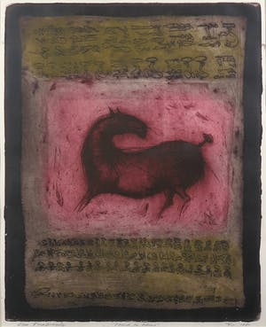 Sam Parabirsingh - Kleurenets, Paard met tekens - Ingelijst kopen? Bied vanaf 40!