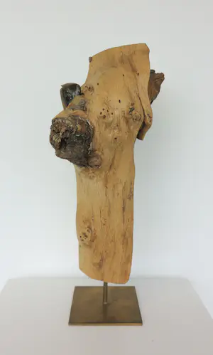 Frans Kokshoorn - Sculptuur van hout met metalen elementen kopen? Bied vanaf 150!