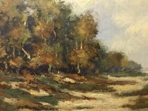Anton Jakma - Landschap op de Hoge Veluwe kopen? Bied vanaf 50!