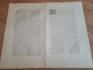 Joan Blaeu - Meenen, Menina, met Nederlandstalige toelichting! kopen? Bied vanaf 40!