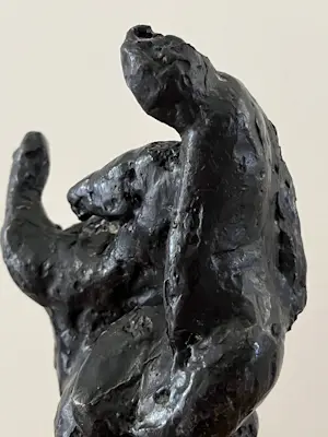 Jan Peter van Opheusden - RUITER kopen? Bied vanaf 250!