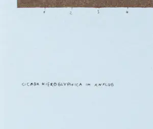 Gabriele Grosse - Cicada Hieroglyphica im Anflug kopen? Bied vanaf 20!