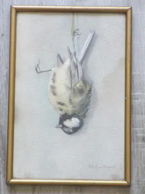 Marie van der Harst - Dode mees - Aquarel kopen? Bied vanaf 100!