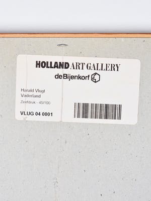Harald Vlugt - Vaderland - Ingelijst - groot kopen? Bied vanaf 50!