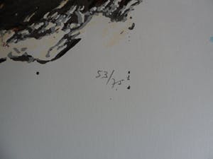 Theo Onnes - Zeefdruk. Titel. "Cow 2 ( Groot ) kopen? Bied vanaf 80!