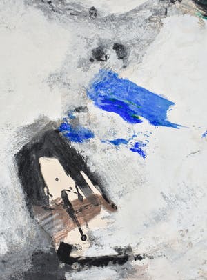 Nico Molenkamp - Vogel kopen? Bied vanaf 100!