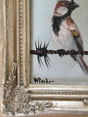 Henk Poeder - Huismus kopen? Bied vanaf 50!