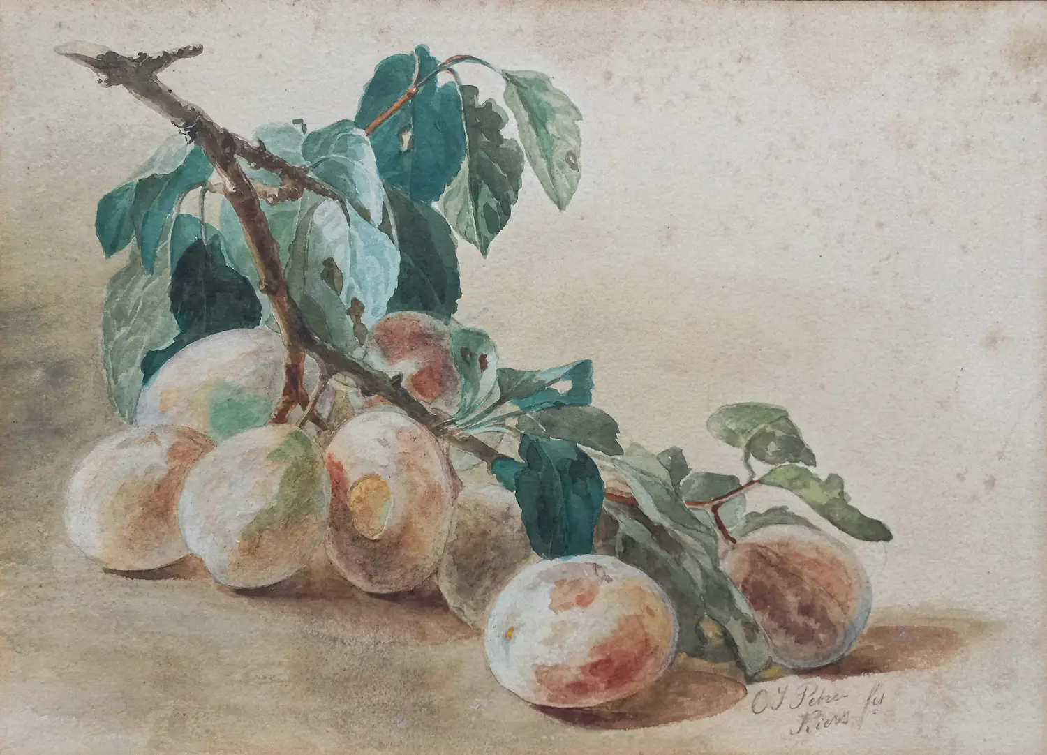 Catharina Kiers (1839-1930)