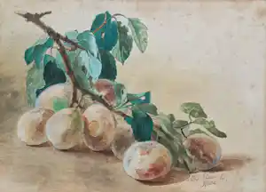 Catharina Kiers - Tak met abrikozen, aquarel op papier vendu pour 75€ !