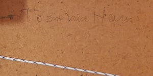 Toon van Ham - Bloei kopen? Bied vanaf 300!