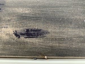 Henk Poeder - Kitten en muisjes kopen? Bied vanaf 80!