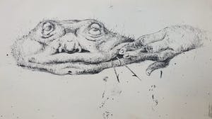 Melle Oldeboerrigter - lot van 2: litho en incomplete map (12 van de 14) reproducties kopen? Bied vanaf 65!