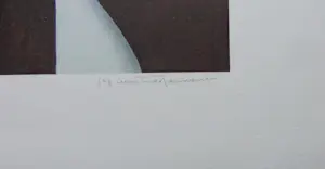 Jef van Tuerenhout - HALFNAAKTE VROUW / KLEURZEEFDRUK / 80x60cm / SIG kopen? Bied vanaf 90!