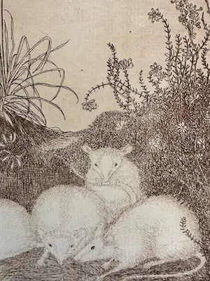 Jan Mankes - Ets vier muizen - Gesigneerd - 1918 kopen? Bied vanaf 425!