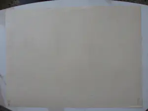 Henri Matisse - De "Odalisque" lithographic print kopen? Bied vanaf 60!