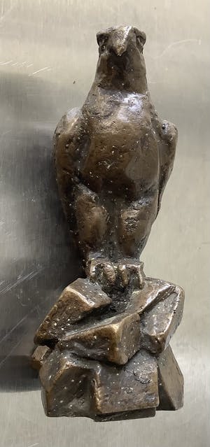 Brons (Onbekend) - Roofvogel kopen? Bied vanaf 150!