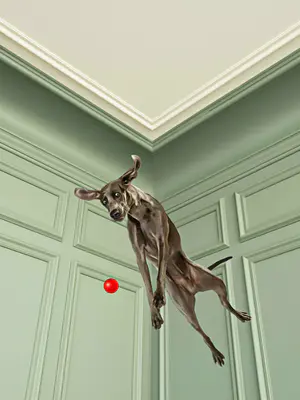 Mr. Strange - Charly Jump ! kopen? Bied vanaf 75!