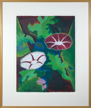 Jan van Delft - Zeefdruk, Morning glory II - Ingelijst kopen? Bied vanaf 1!