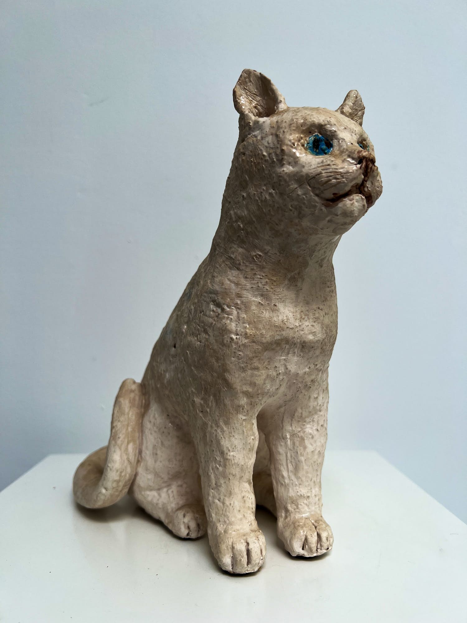 Tine Goudriaan-van Waning - Keramiek sculptuur | 'Zittende poes, blauwe ogen' kopen? Bied vanaf 1!
