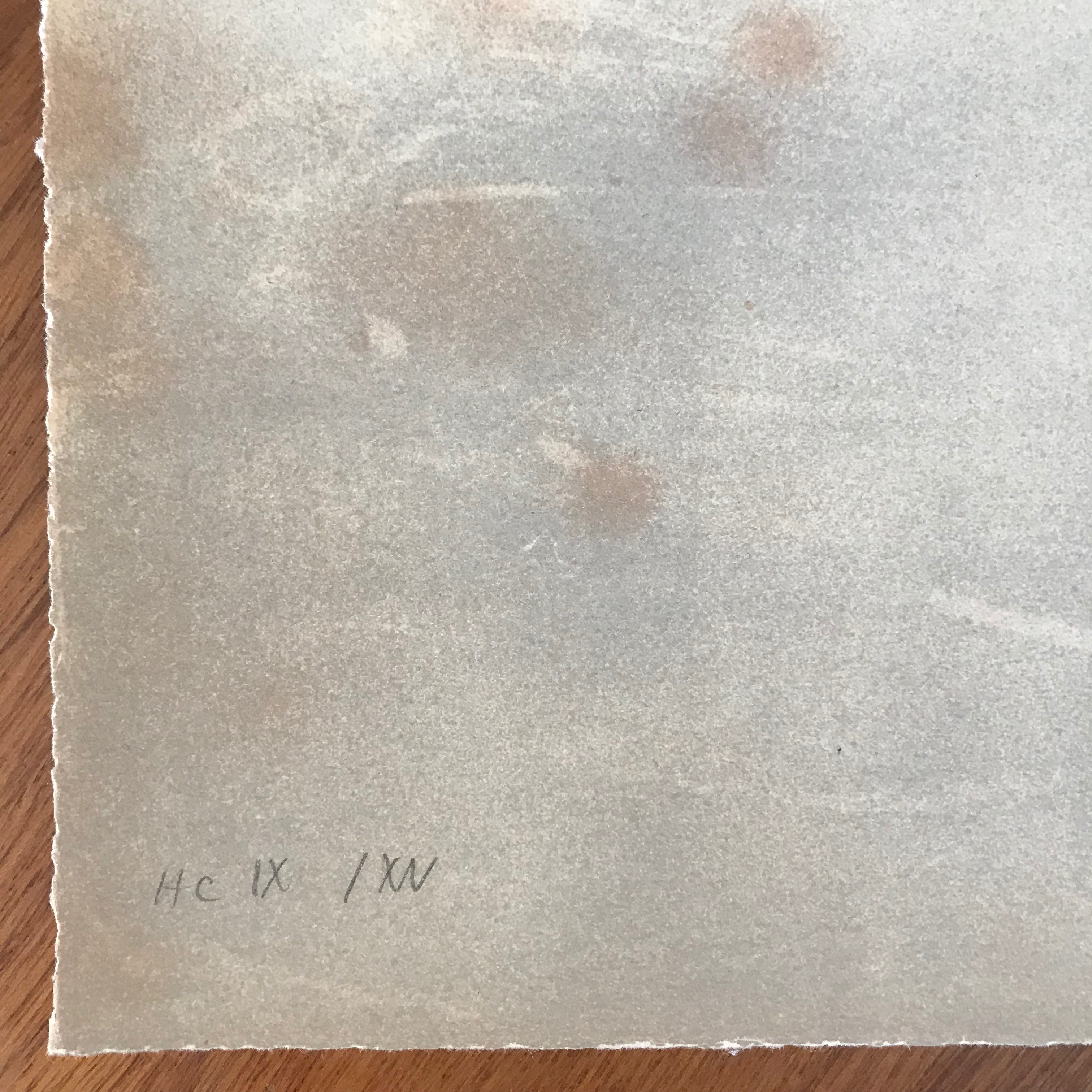 Alain Le Foll - Lithografie - HC - Gesigneerd - Zonder lijst kopen? Bied vanaf 35!