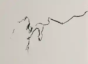 Armando - gesigneerde litho kaufen? Bieten Sie von 149!