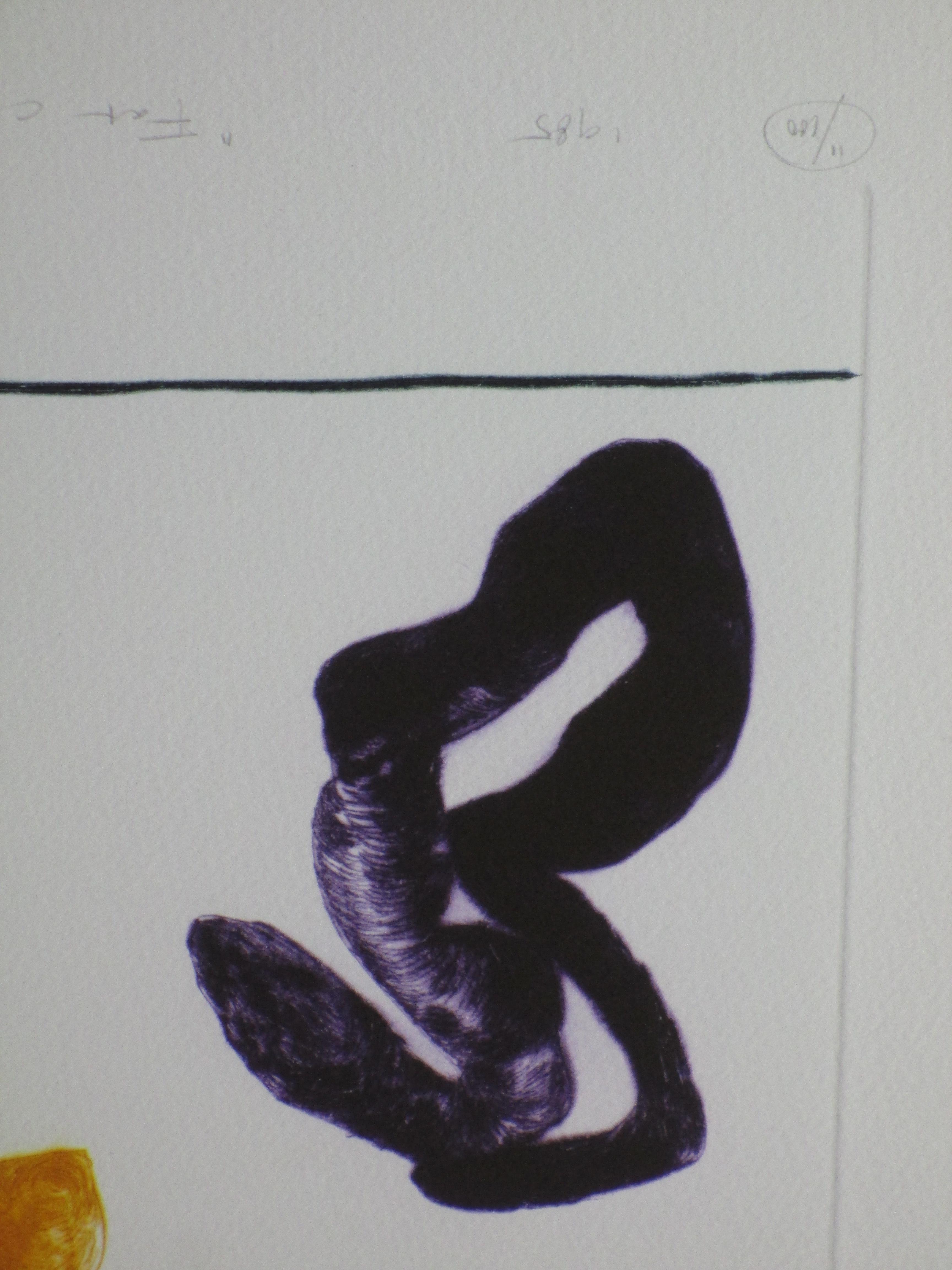 Peter John Voormeij - Fat Chance at Warnambool - Kleurets kopen? Bied vanaf 1!