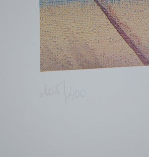 Gregor Rosinski - Thorgal: cover van De Zwarte Galei - 1e druk 1993 - handgesigneerd en genummerd kopen? Bied vanaf 65!