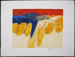 Robbert Fortgens - Zeefdruk, Voorjaar kopen? Bied vanaf 1!