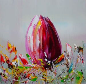 Buy Gena - tulp in volle pracht!? Bid from 95!