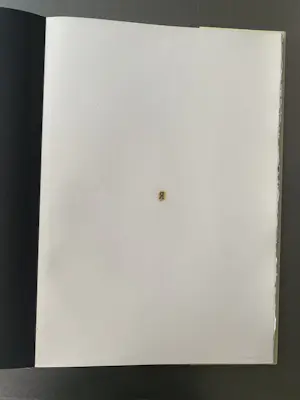 Jan van Munster - IK (kunstenaarsboek) kopen? Bied vanaf 65!