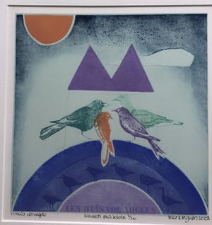 Ries Kleijnen - Ets aquatint, Een huis vol vogels, gesigneerd en ingelijst kopen? Bied vanaf 85!