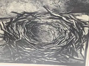 Aart van Dobbenburgh - Vogelnest kopen? Bied vanaf 20!