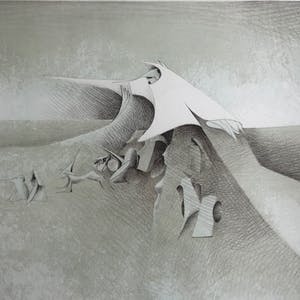 Albert Debois - Zeldzame Litho - Zonder titel - HC - 1978 kopen? Bied vanaf 65!