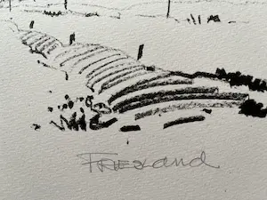 Jan Homan - FRIESLAND kopen? Bied vanaf 35!