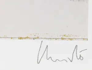 Christo - Gesigneerd, The Pont Neuf Wrapped met stofmonster - Ingelijst + Gesigneerd boek! kopen? Bied vanaf 750!