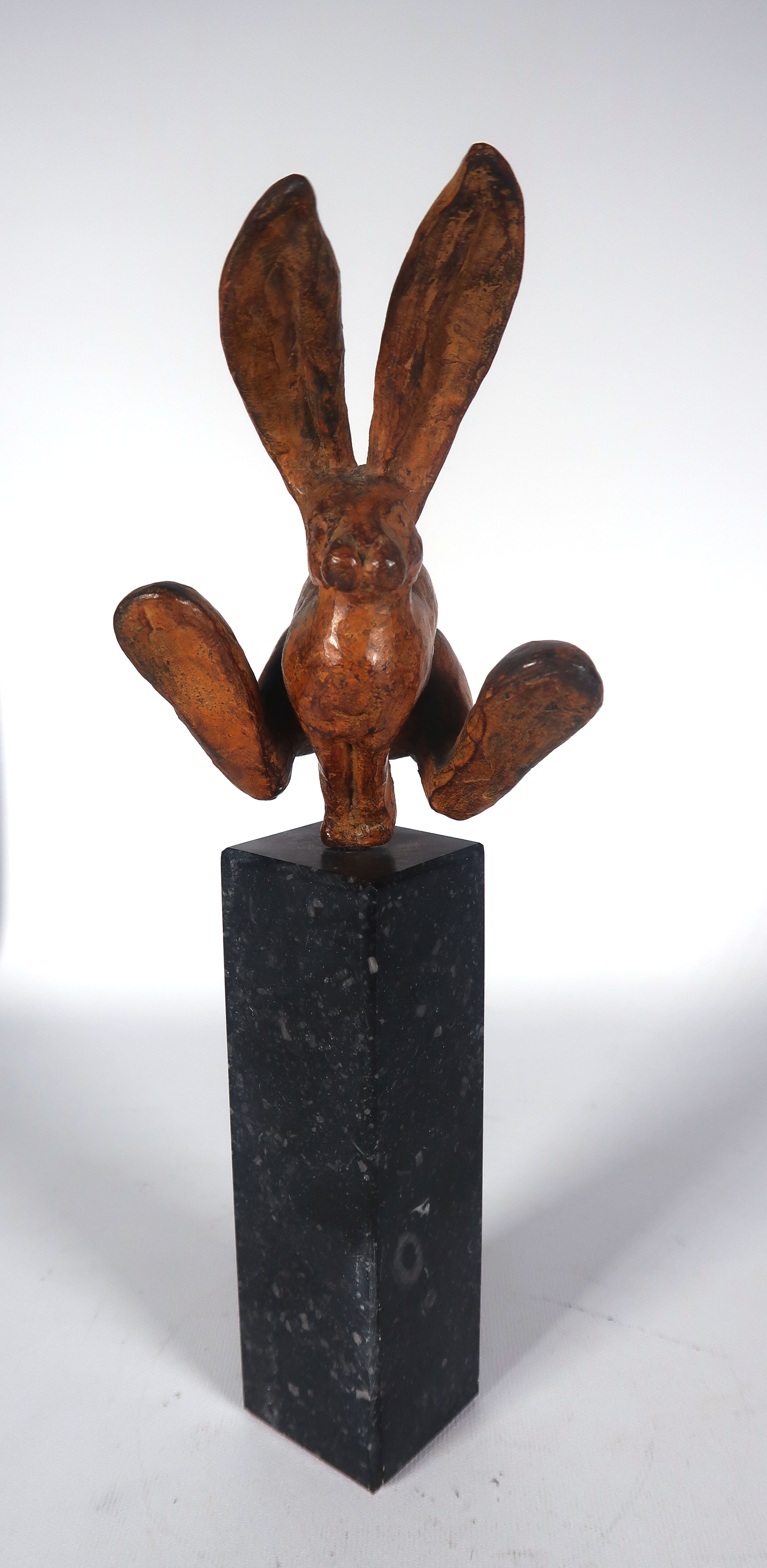 Mohana van den Kroonenberg - Brons en graniet, Haas op sokkel kopen? Bied vanaf 150!