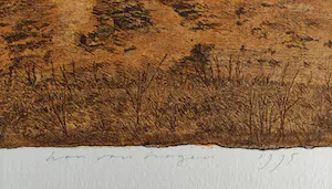 Han van Hagen - Extremadura 2 kopen? Bied vanaf 60!