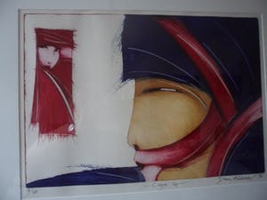 Dana Andreev - Kleurenets, Close Up - Ingelijst kopen? Bied vanaf 60!