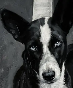 Mr Strange - Op de weg (De witte lijn) kopen? Bied vanaf 85!