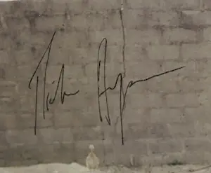 Pieter Hugo - Gesigneerde LP-hoes, Lagos Shake: A Tony Allen Chop Up - Ingelijst kopen? Bied vanaf 1!