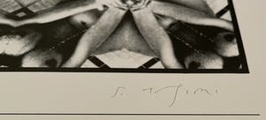 Shinkichi Tajiri - My Secret Garden no 4 - 1975 kopen? Bied vanaf 100!