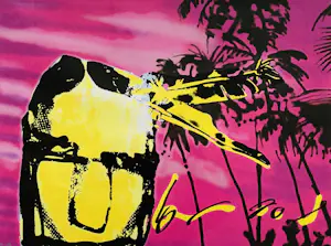 Herman Brood - Pink Indian kopen? Bied vanaf 495!